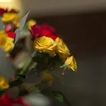 Le Marie 3* Benátky